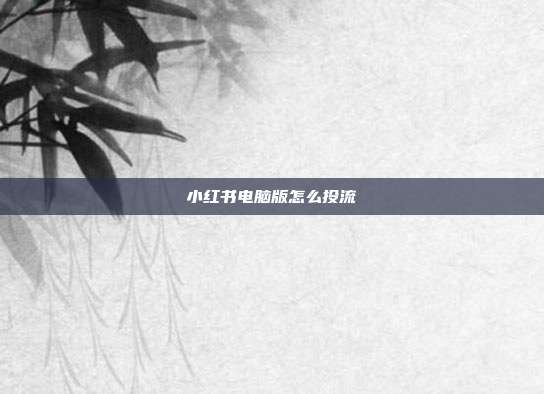 小红书电脑版怎么投流