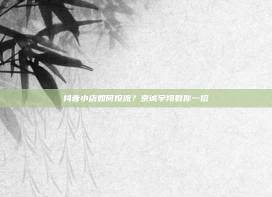抖音小店如何投流？京诚宇翔教你一招
