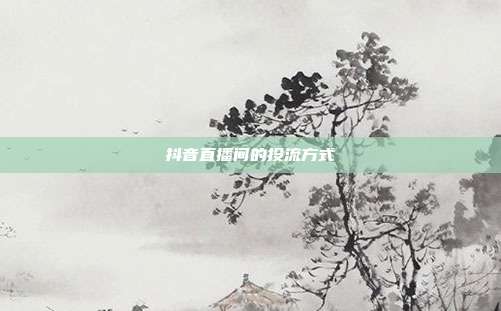 抖音直播间的投流方式