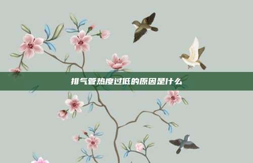 排气管热度过低的原因是什么