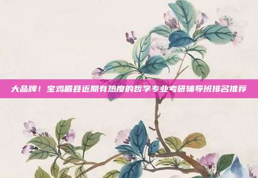 大品牌!宝鸡眉县近期有热度的哲学专业考研辅导班排名推荐