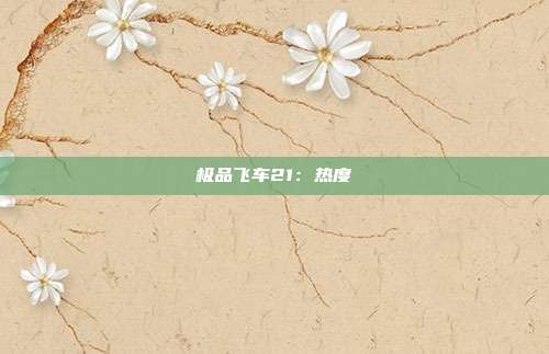 极品飞车21：热度