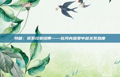 特稿:紧系经贸纽带——在河内感受中越关系热度