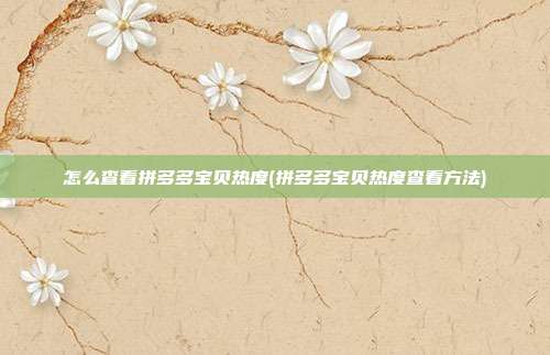 怎么查看拼多多宝贝热度(拼多多宝贝热度查看方法)