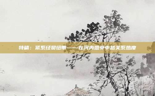 特稿:紧系经贸纽带——在河内感受中越关系热度