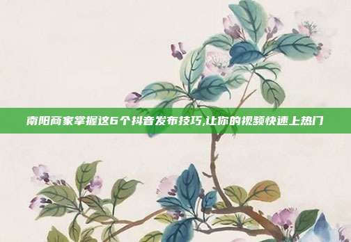 南阳商家掌握这6个抖音发布技巧,让你的视频快速上热门