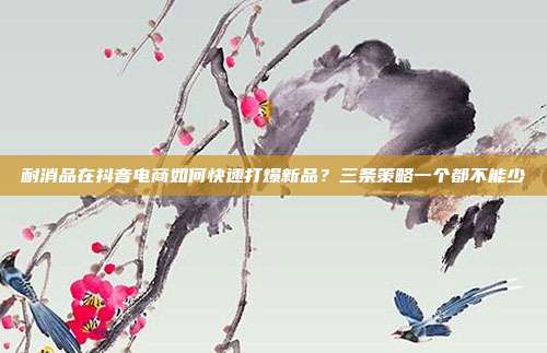 耐消品在抖音电商如何快速打爆新品?三条策略一个都不能少