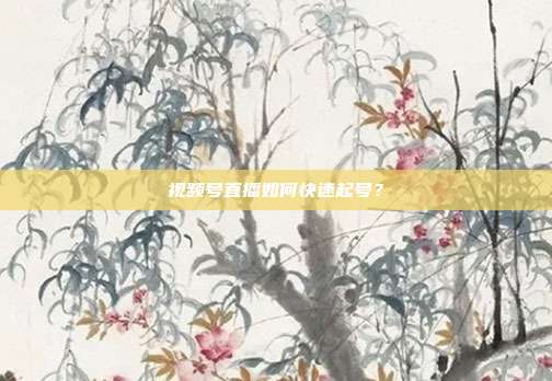 视频号直播如何快速起号？