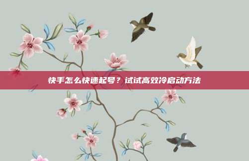 快手怎么快速起号？试试高效冷启动方法