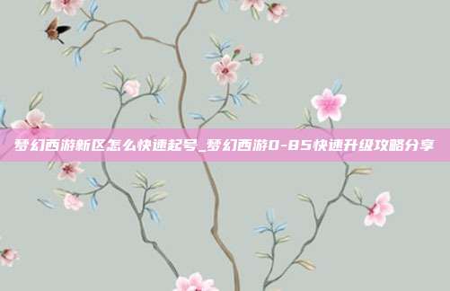 梦幻西游新区怎么快速起号_梦幻西游0-85快速升级攻略分享