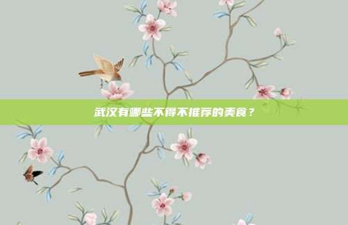 武汉有哪些不得不推荐的美食？