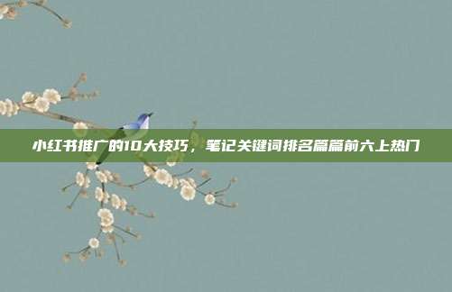 小红书推广的10大技巧，笔记关键词排名篇篇前六上热门