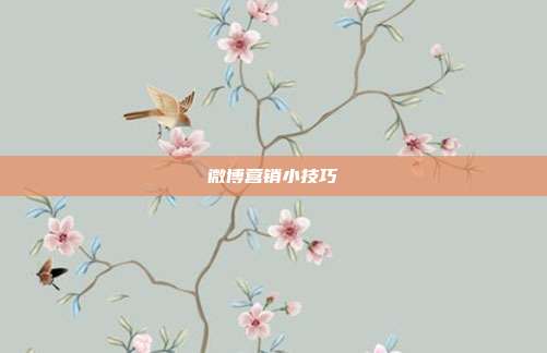微博营销小技巧