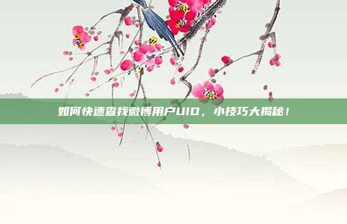 如何快速查找微博用户UID，小技巧大揭秘！