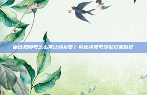 微信视频号怎么不让好友看？微信视频号隐私设置教程