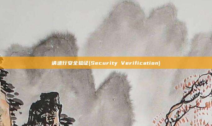 请进行安全验证(Security Verification)