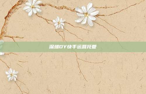 深圳DY快手运营托管