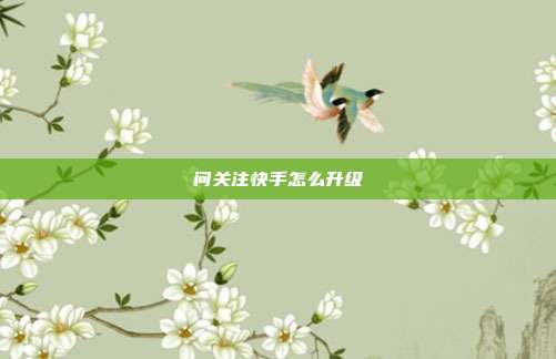 问关注快手怎么升级