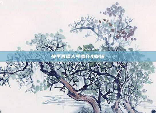 快手直播人气飙升小秘诀