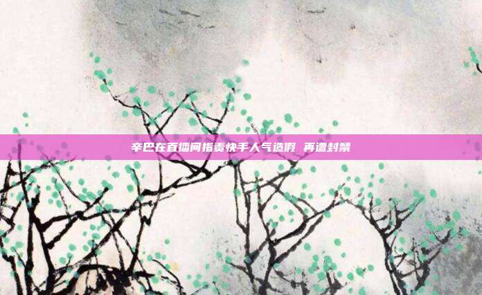 辛巴在直播间指责快手人气造假 再遭封禁