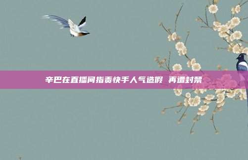 辛巴在直播间指责快手人气造假 再遭封禁