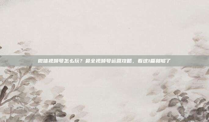 微信视频号怎么玩?最全视频号运营攻略,看这1篇就够了