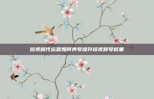 短视频代运营如何养号提升短视频号权重