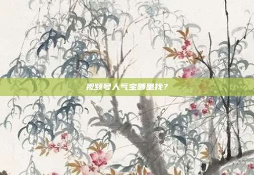 视频号人气宝哪里找？