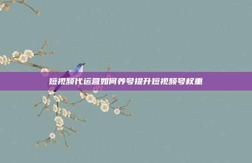 短视频代运营如何养号提升短视频号权重