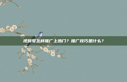 视频号怎样推广上热门?推广技巧是什么?