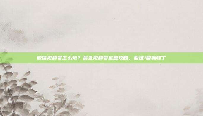 微信视频号怎么玩?最全视频号运营攻略,看这1篇就够了