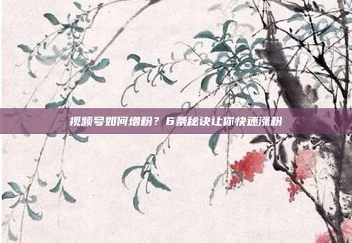视频号如何增粉?6条秘诀让你快速涨粉