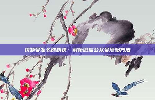 视频号怎么涨粉快:解析微信公众号涨粉方法