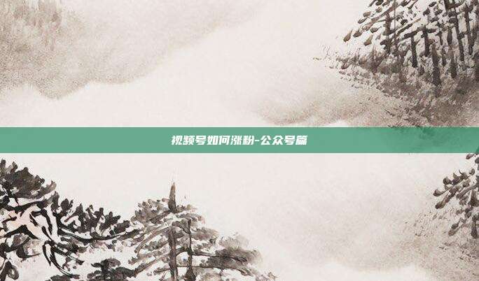 视频号如何涨粉-公众号篇