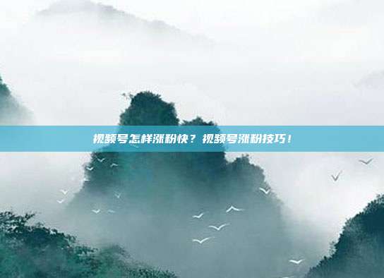 视频号怎样涨粉快?视频号涨粉技巧!