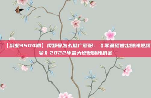 【副业3504期】视频号怎么推广涨粉:《零基础做出赚钱视频号》2022年最大涨粉赚钱机会