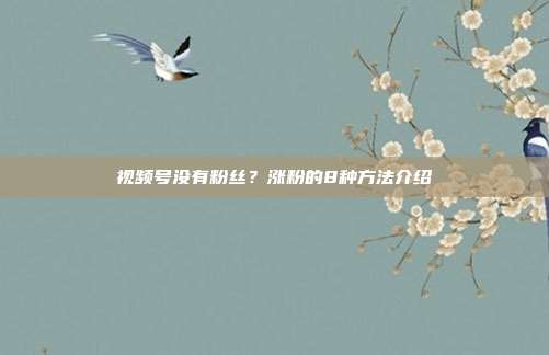 视频号没有粉丝?涨粉的8种方法介绍