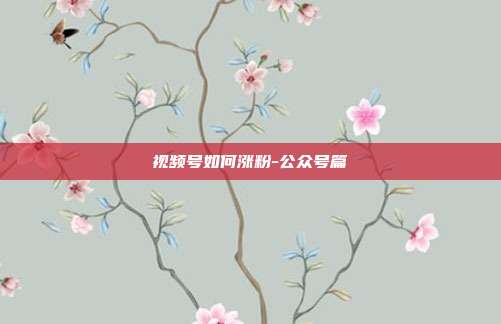 视频号如何涨粉-公众号篇