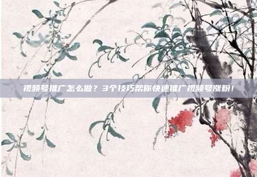 视频号推广怎么做?3个技巧帮你快速推广视频号涨粉!