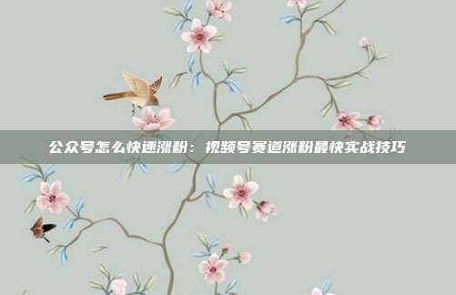 公众号怎么快速涨粉:视频号赛道涨粉最快实战技巧