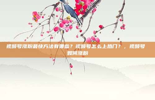 视频号涨粉最快方法有哪些?视频号怎么上热门?,视频号 如何涨粉