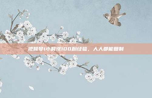 视频号1小时涨100粉经验,人人都能复制