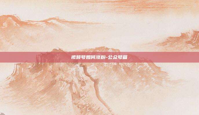 视频号如何涨粉-公众号篇