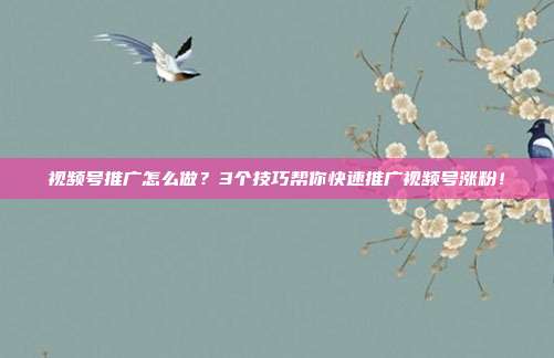 视频号推广怎么做?3个技巧帮你快速推广视频号涨粉!