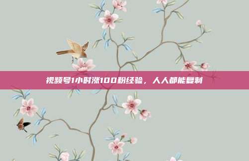 视频号1小时涨100粉经验,人人都能复制