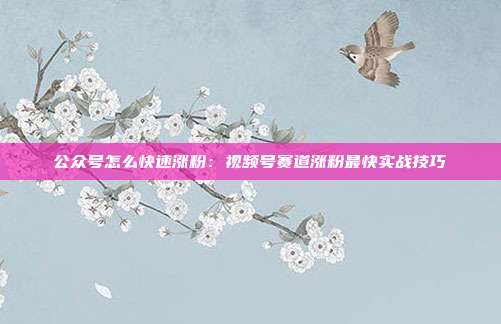 公众号怎么快速涨粉:视频号赛道涨粉最快实战技巧