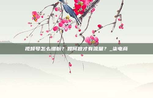 视频号怎么增粉?如何做才有流量?_柒电商