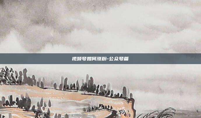 视频号如何涨粉-公众号篇
