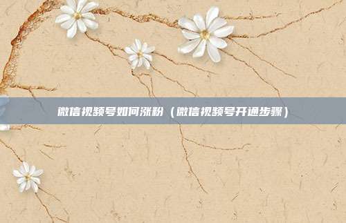 微信视频号如何涨粉(微信视频号开通步骤)