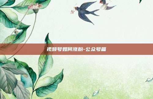 视频号如何涨粉-公众号篇